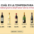 Nuestro ranking 7 de vino fidencio