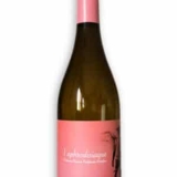 ¿Qué vino espumoso italiano, la guía decisiva