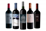 Ranking 7 de cajas de vinos más especiales on line de este mes