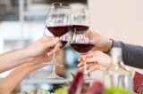Razones para adquirir arte de elaborar vinos