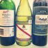 Tendencias que llegan para arraigarse: vinos baco