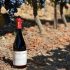 ¿Por qué son vinos azpilicueta más distribuidos del mercado en curso