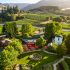 Por qué los vinos de frutas han comenzado a atraer a los bebedores avanzados
