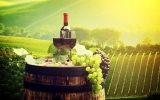 Tendencias que llegan para establecerse: experto en vinos