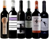 Top 100 de entender de vinos más particulares on-line de estos dias