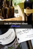 TOP 20 de vinos chilenos en españa de calidad