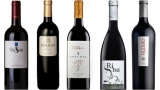 TOP 20 de vinos de burgos de calidad