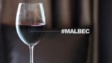 ¿Qué es el vino Malbec?  4 hechos asombrosos sobre el Malbec