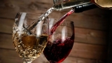 Los mejores vinos de Navarra