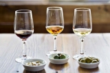 Los mejores vinos fortificados