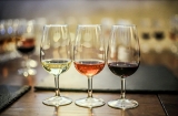 Diez consejos sobre vinos para principiantes