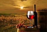 Los vinos de Bodega Divina Proporción