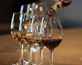 Conoce los vinos de alta calidad de Bodega Sumarroca