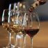 Conoce por qué algunos envasan vinos en botellas verdes