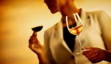Descubre los vinos de Bodegas Enate, D.O. Somontano